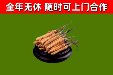 沐川县烟酒回收冬虫夏草.jpg
